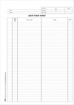 A40 - Audit Point