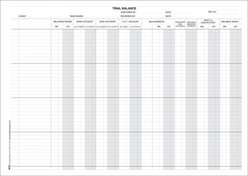 A32 Extended Trial Balance