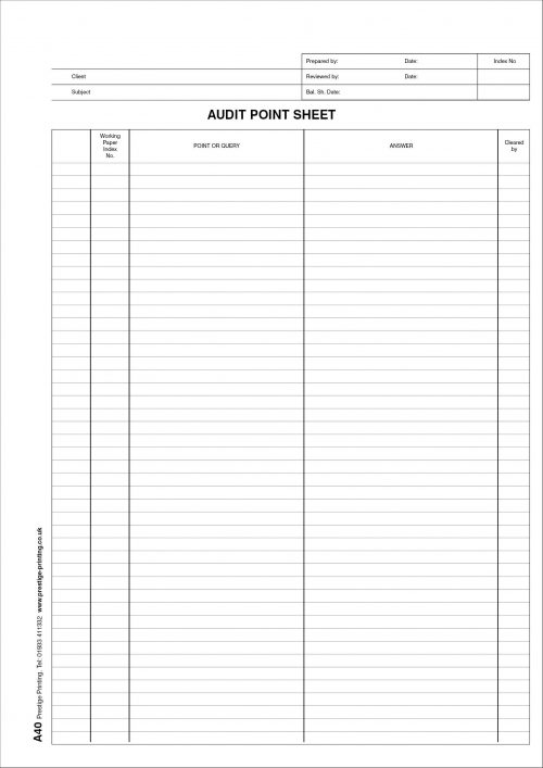A40 - Audit Point
